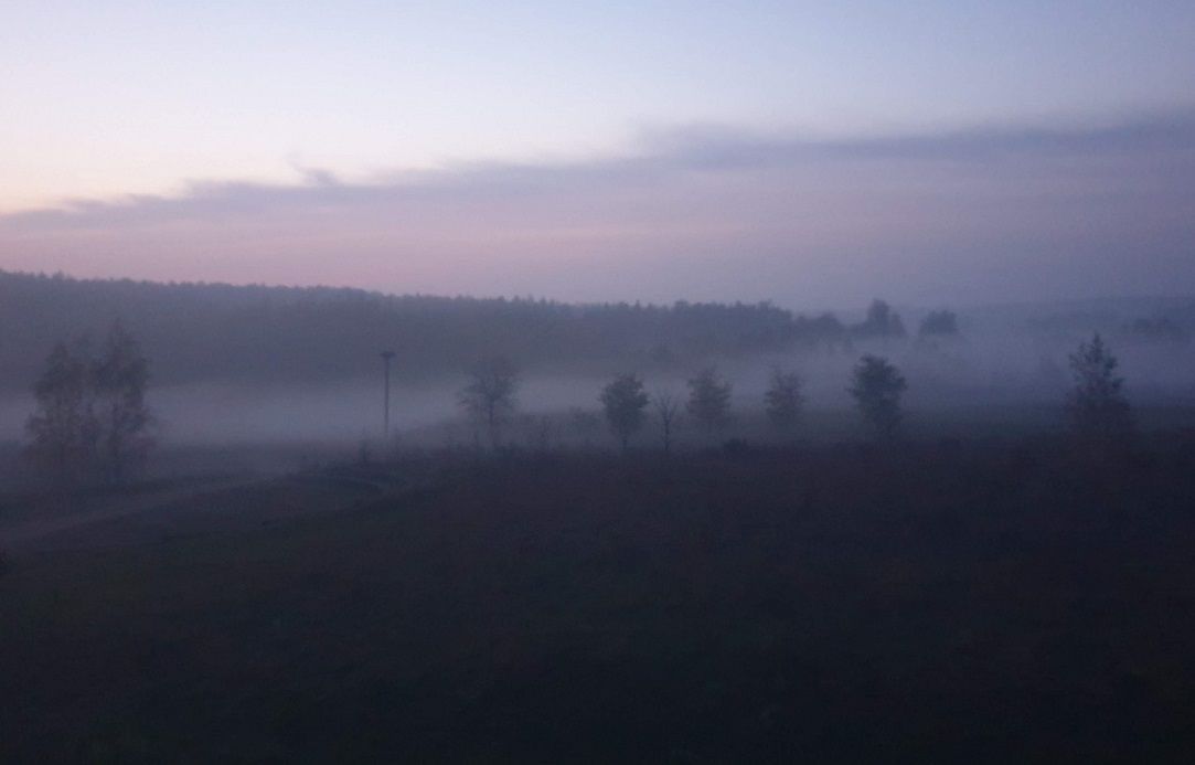 Exterior picture of the evening fog rolling in over the Ossa countryside through a dark forest