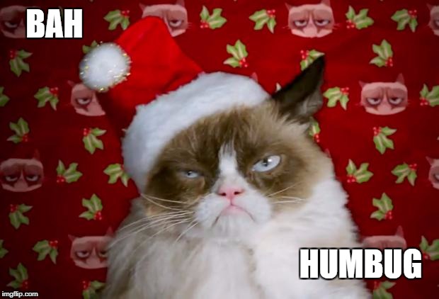 Grumpy Santa Cat